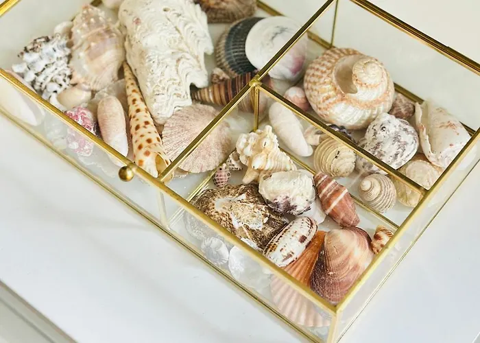 La O'brise - Close To And Center Ostende