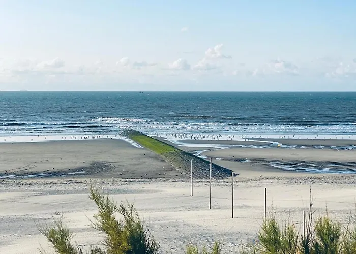 La O'brise - Close To And Center Oostende
